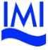 International Maritime Institute