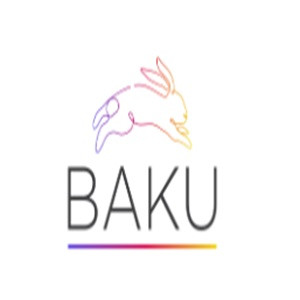 BAKU SOLUTIONS