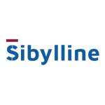 Sibylline Trading Contracting