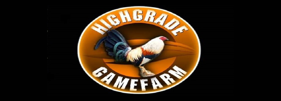 Gamefowlsfor sale